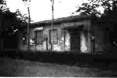 IMAG0006